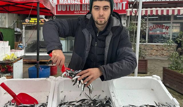 Hamsiye bir hafta ömür biçildi