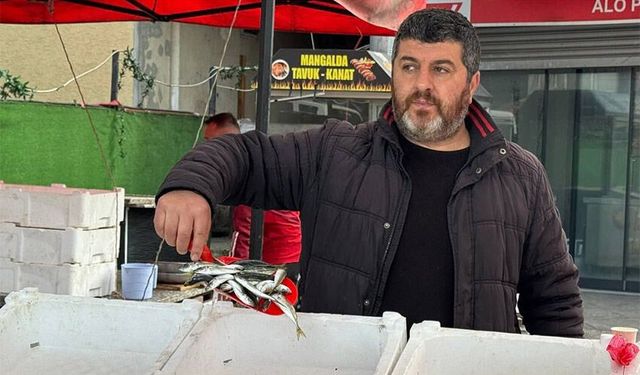 Hamsinin yerini istavrit aldı