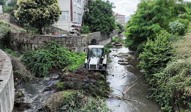 Ereğli'de, dereler temizleniyor