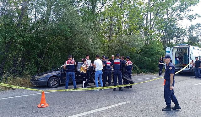Orman işçisi, araç içinde ölü bulundu!