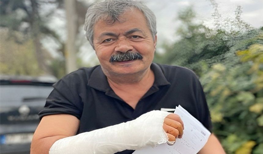 Kedileri ayırmak isterken yaralandı