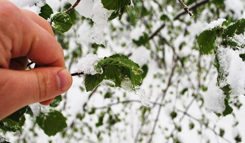 Meteoroloji'den "zirai don" uyarısı!