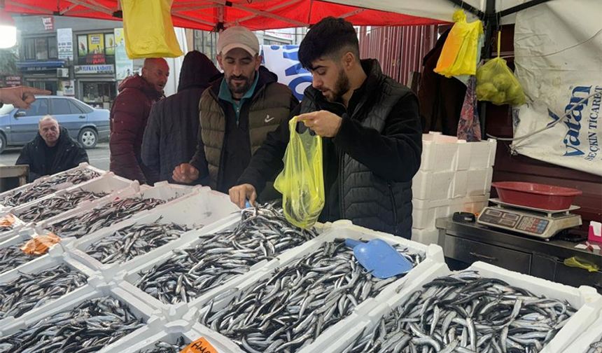 Tezgahların yeni gözdesi hamsi