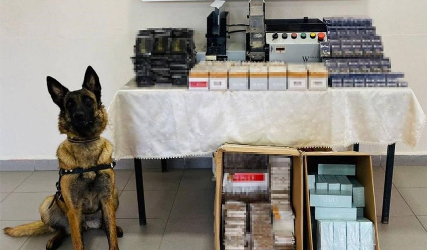 14 şüpheliye kaçakçılıktan işlem yapıldı!