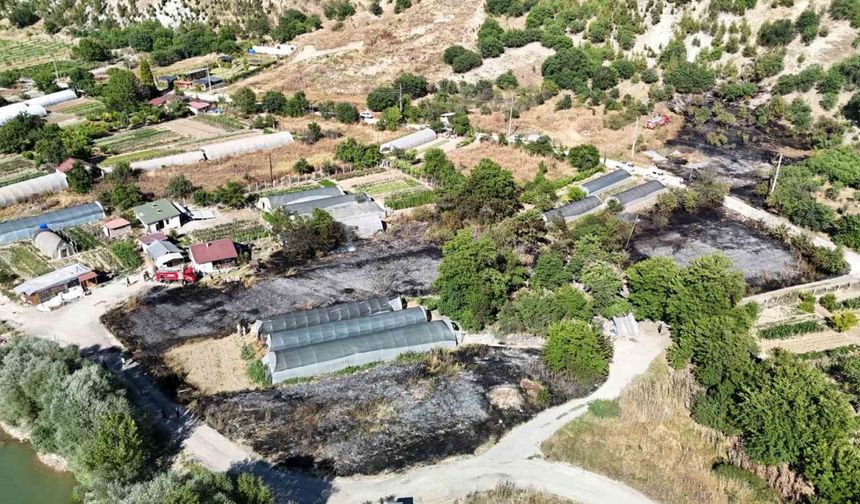 Seraların bulunduğu alandaki yangın korkuttu!