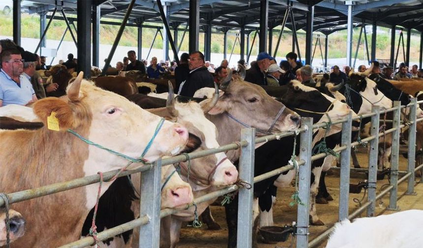 Kurban pazarları hareketlendi