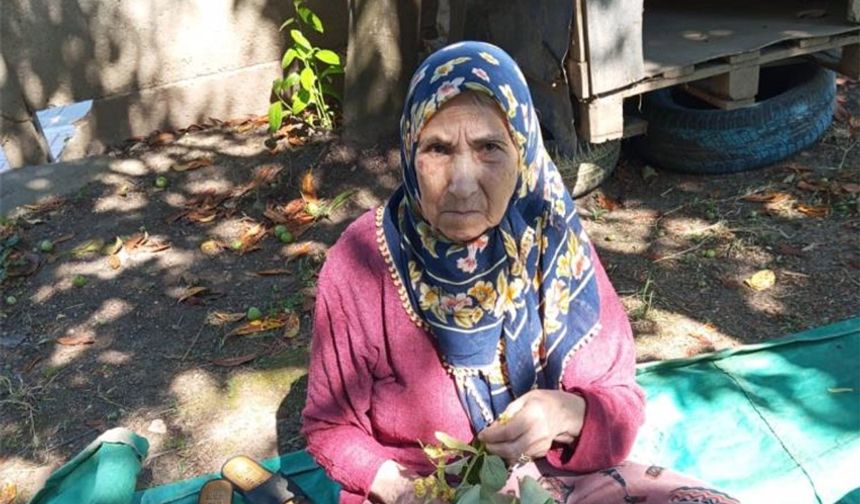 Her yerde aranıyor