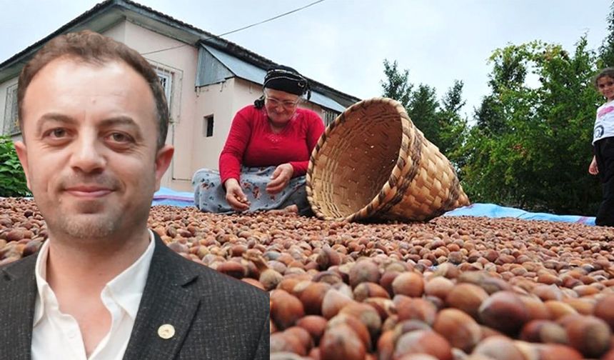 "Fındığı emanete vermeyelim"