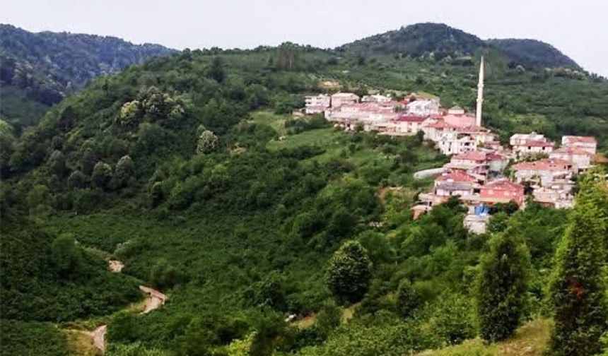 Alaplı’da, 5 köyde seçim heyecanı yaşanacak