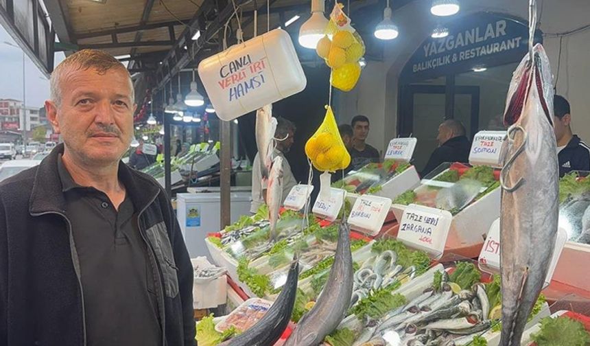 Balıkçıların hamsi beklentisi yüksek
