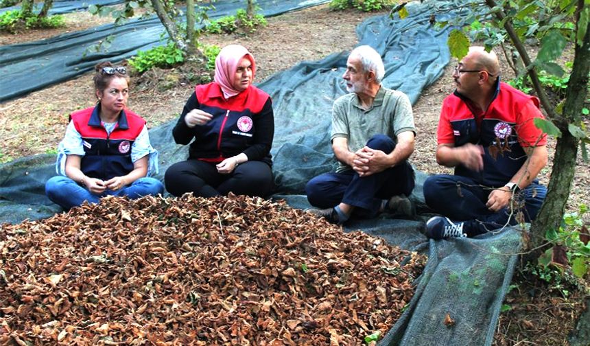 Maliyet düşüyor, kalite artıyor