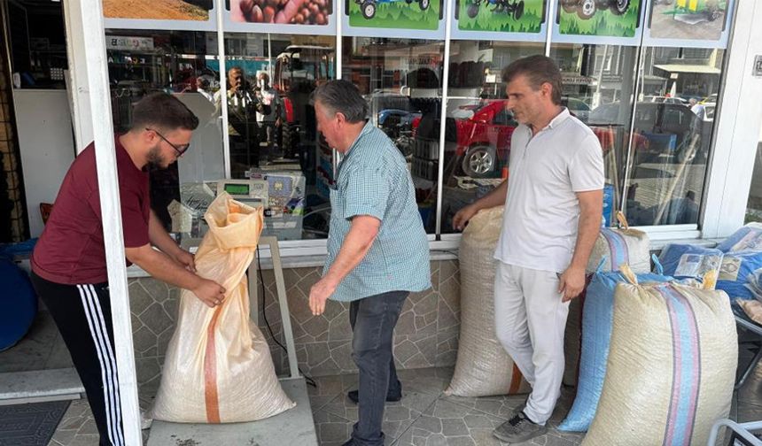 Fındığın fiyatı 250 lirayı geçti