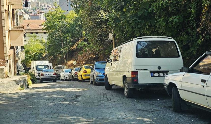 Hatalı parklar çileden çıkarıyor!