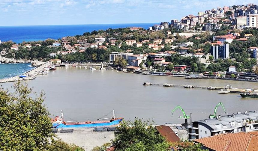 Zonguldak Limanı, sarı renge boyandı!