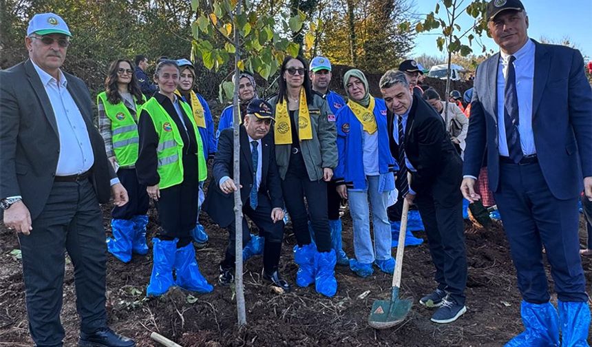 Ereğli'de, fidanlar toprakla buluştu