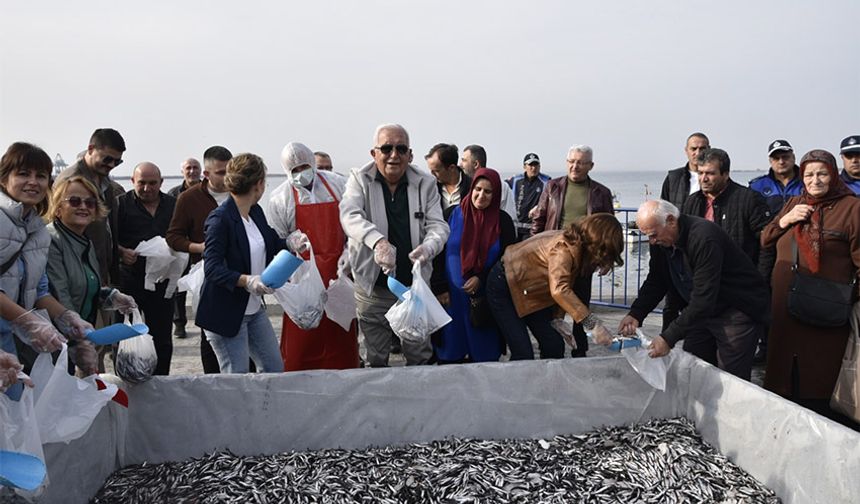 Karadeniz Ereğli, hamsi koktu!