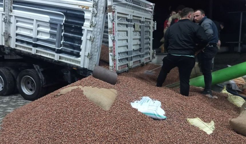 Fındık fiyatları yükselişe geçti