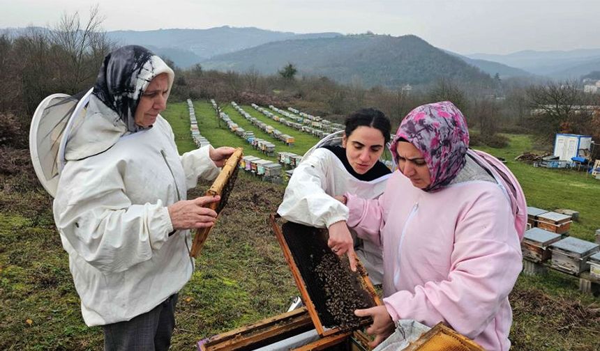 Anne ve kızları, arıcılığı profesyonel boyuta taşıdı
