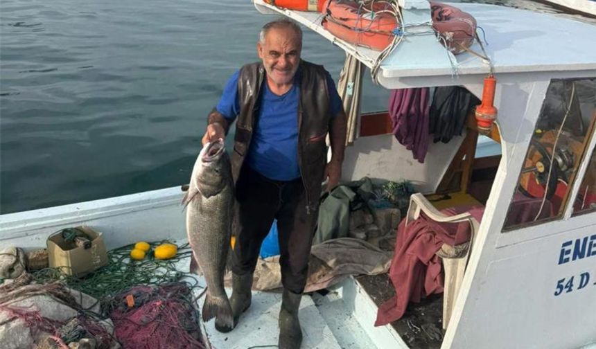 Akçakoca’da, balıkçı ağına 10 kiloluk levrek takıldı