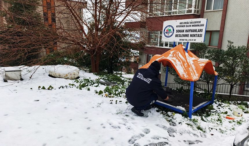 Siz de destek olabilirsiniz