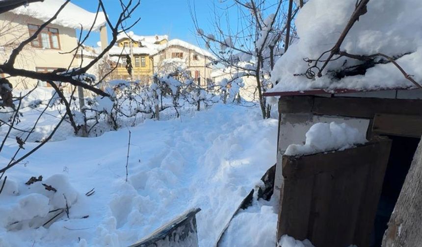80 yaşındaki kadın, donmuş halde ölü bulundu!