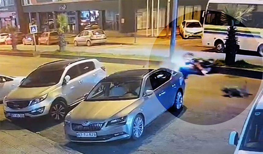 Sürücü yaralandı, köpek telef oldu!