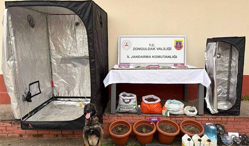 Çaycuma'da narkotik operasyonu: 2 şüpheli tutuklandı!