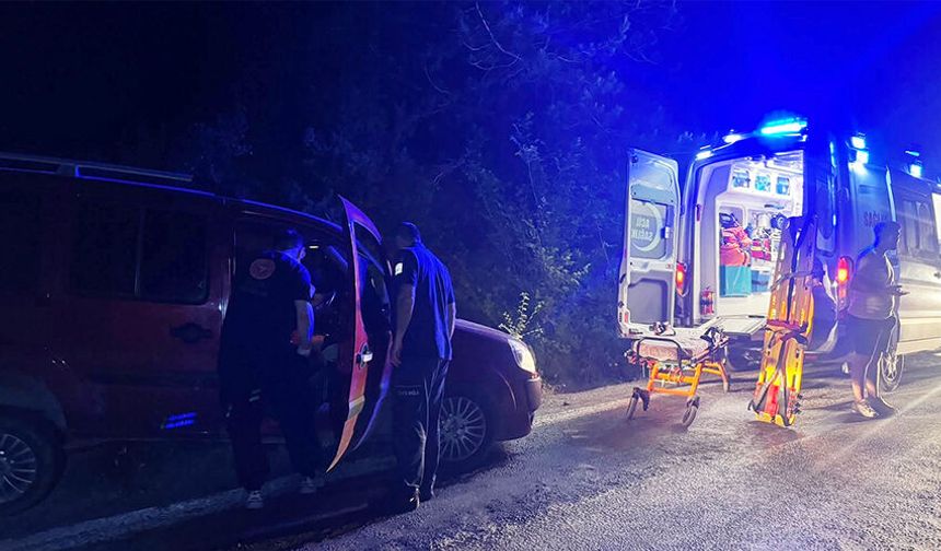Alaplı'da yaşandı: Seyir halindeyken uyuyakaldı!