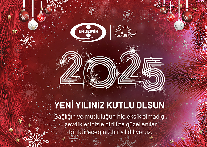 Erdemir 2025(2)