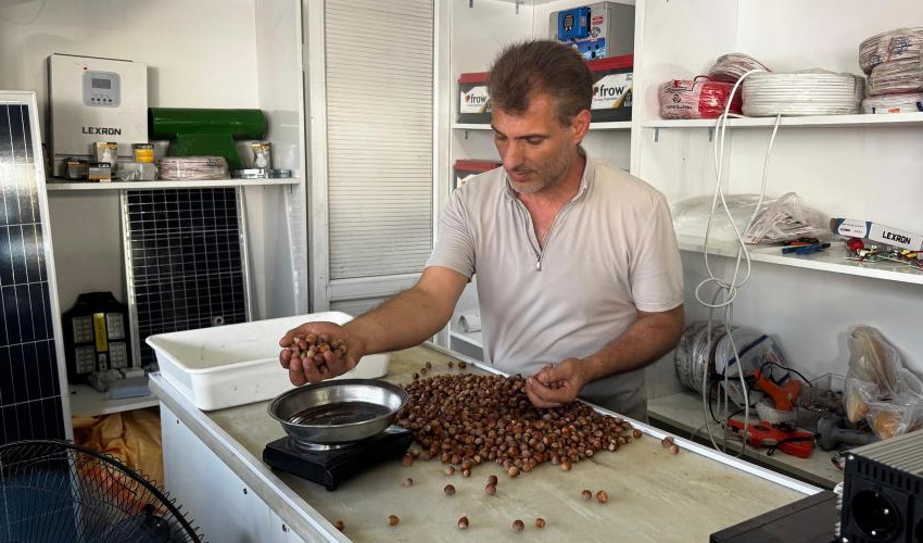 Fındık Yükselişte2