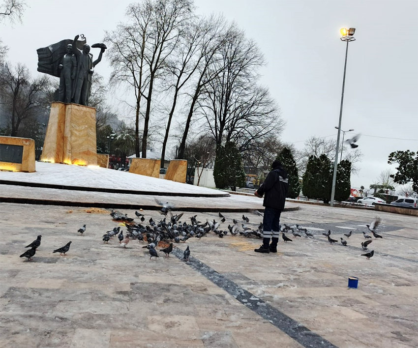 Sokak Hayvanları Yemleme2