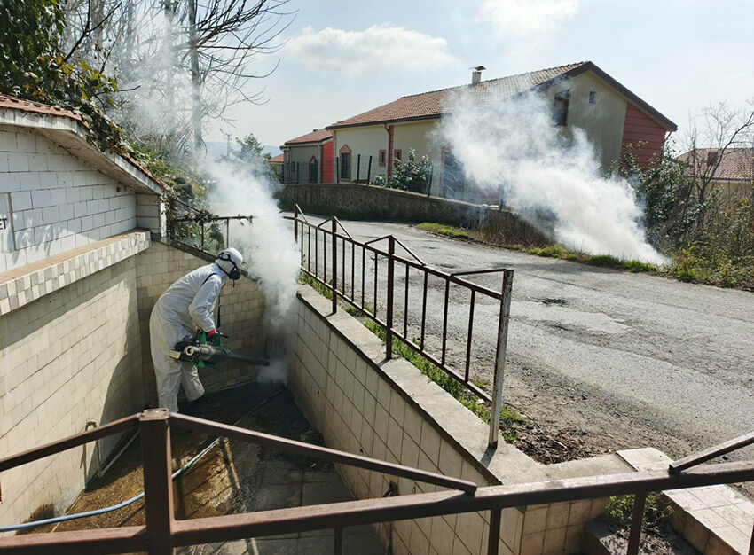 Whatsapp Image 2026 03 16 At 15.44.29