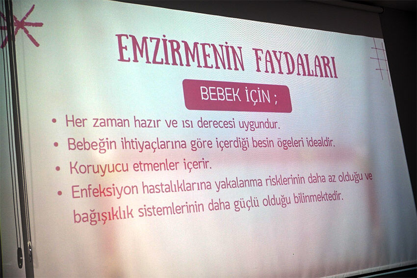 Emzirme2